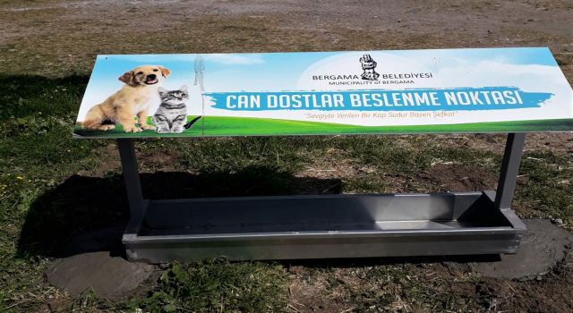 Bergama’da Can Dostlar İçin Besleme Noktaları Kuruluyor