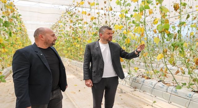 Buca Belediyesi'nin serasına hain saldırı