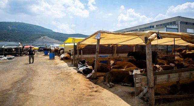Bornova Kurban Pazarı kapılarını açtı