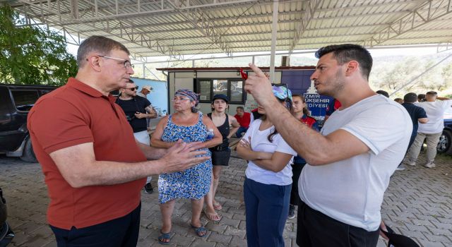 Büyükşehir yangının yaralarını sarmak için sahada