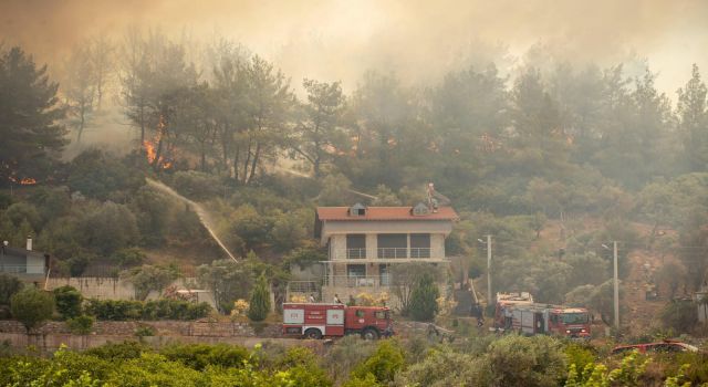 Son üç günde yaklaşık 10 bin hektarlık alan kül oldu