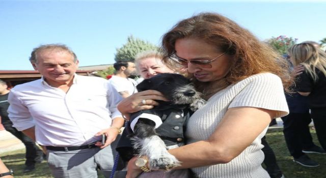 Karşıyaka’da can dostlar için 25 ton mama toplandı