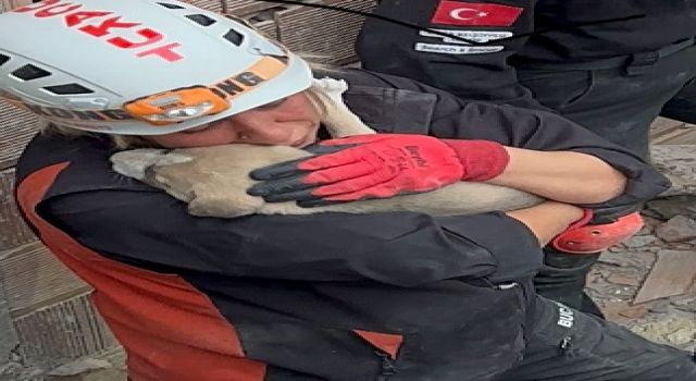 BUCAKUT’tan yavru köpek operasyonu...