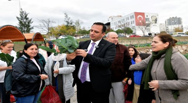 Bornova’da Kent Bostanları'nda büyük hasat coşkusu