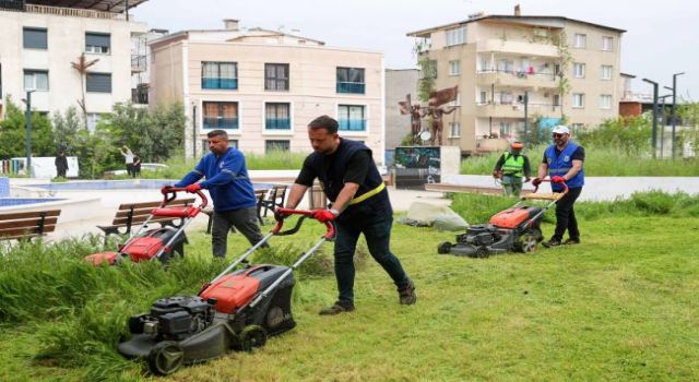 Buca'da kapsamlı kosa seferberliği