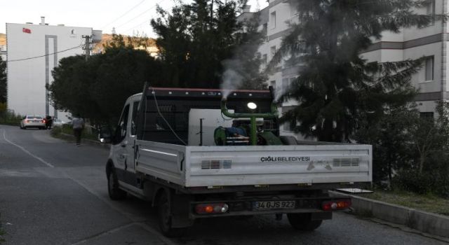 Çiğli’de sivrisinek ve haşerelere karşı etkin önlem