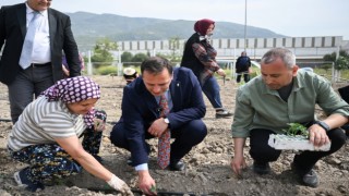 Bornovalı kadınlar Kent Bostanı’nda kendi elleriyle üretiyor