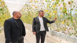 Buca Belediyesi'nin serasına hain saldırı
