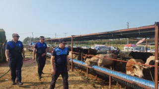 Çiğli’de kurban pazarlarına ve kesim noktalarına sıkı denetim
