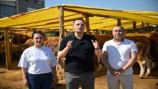 Eşki, Işıkkent Kurban Pazarı’nda incelemelerde bulundu