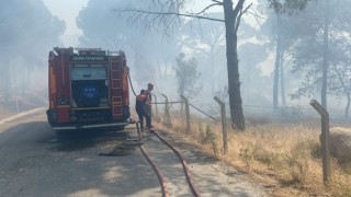 Bergama’da orman yangınına müdahale ediliyor