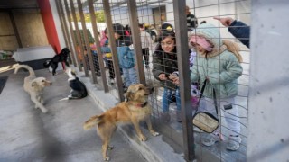 Çocuklara hayvan sevgisi kazandırılıyor