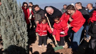 Menemen Belediyesi bebekler için binlerce fidan dikti