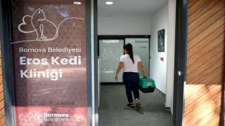Eros Kedi Kliniği Bornova’da umut merkezi oldu
