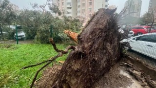 İzmir'de fırtına ve sağanak yağış hayatı felç etti