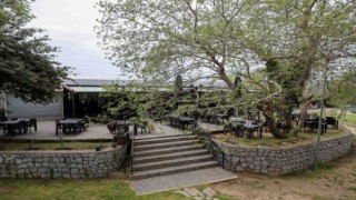 Buca’da doğayla iç içe sosyal hizmet: Dere Kafe